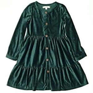 Biscotti Colezioni Girl’s 5yo Pine Green Velvet Button-Down Flutter Dress- EUC!